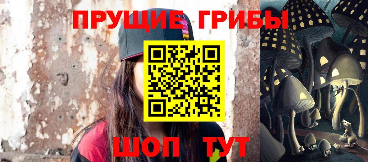 Галлюциногенные грибы GOLDEN TEACHER  Вход с VPN  Нефтекамск  купить наркотик  Псилоцибиновые грибы GOLDEN TEACHER 